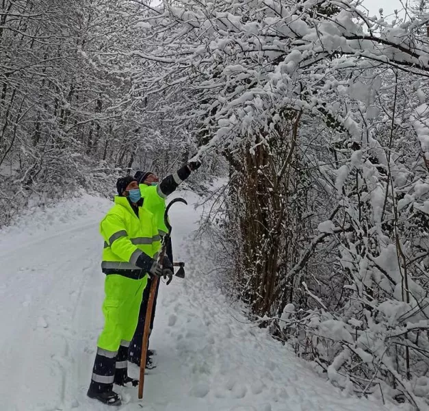I volontari della Protezione civile comunale sono  intervenuti sulle strade collinari per rimuovere rami piegati e spezzati dalla neve