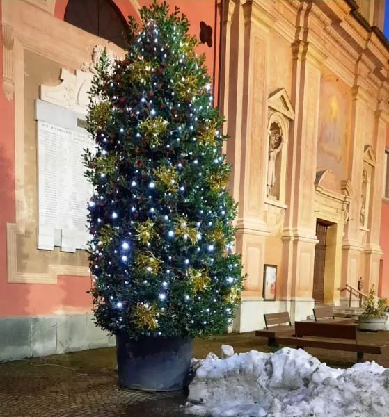 L'albero di Natale in piazza della Rossa