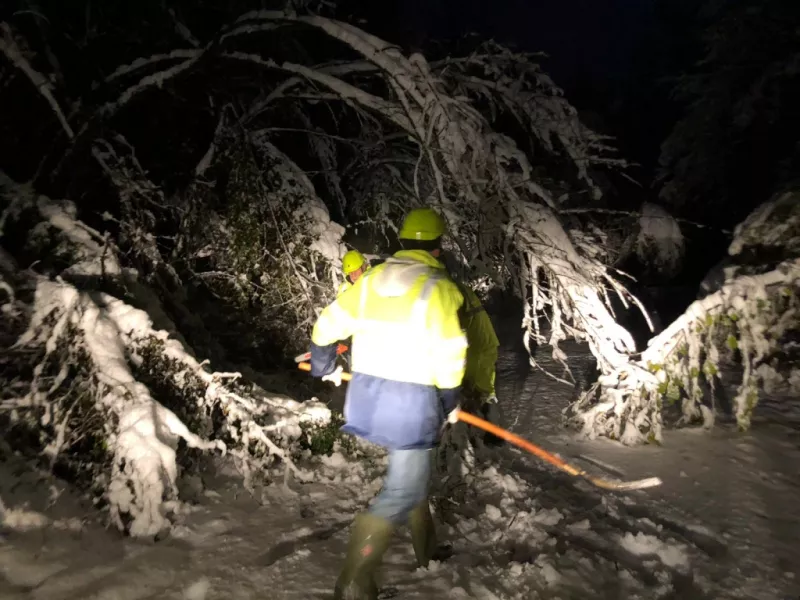La nevicata della scorsa settimana ha provocato disagi alla circolazione a causa dei rami degli alberi prospicienti le strade caduti sotto il peso della neve