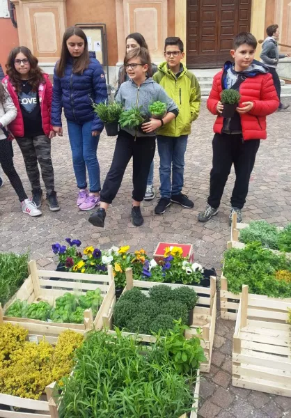 Banchetto delle piante aromatiche allestito in piazza della Rossa per la campagna di raccolta fondi della Lvia