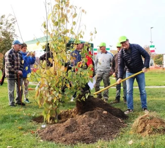 Il sindaco, Marco Gallo, con l’aiuto dei bambini ha piantato l’albero simbolico, che quest'anno è una Davidia involucrata, comunemente chiamata 