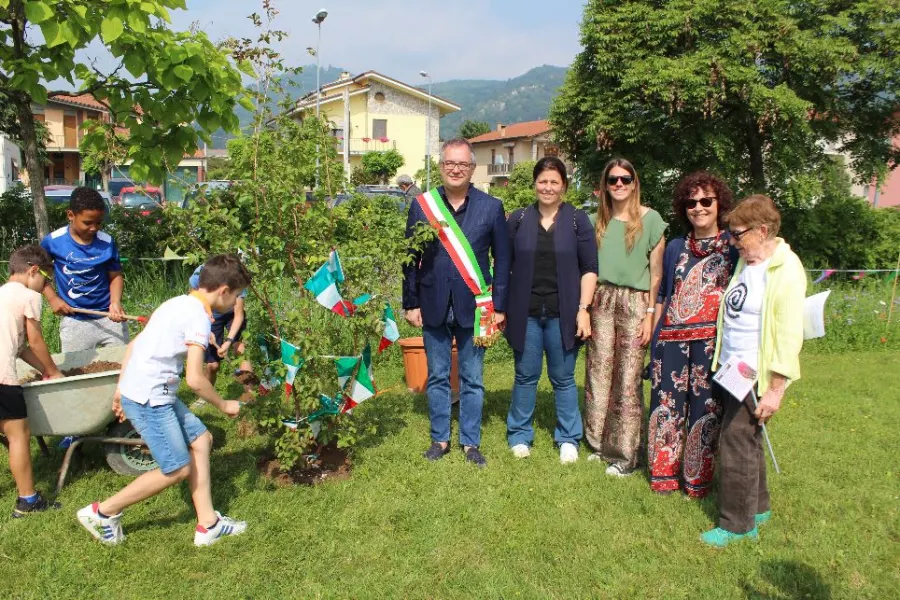 Il nuovo albero nel Giardino dell’infinito