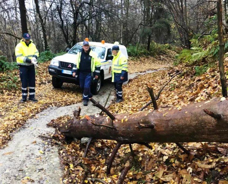 Rimossi alcuni tronchi caduti in una strada a Valmala