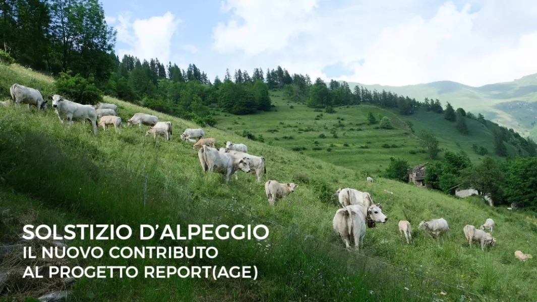 buscareportage.it è un sito di video, foto e testi per un nuovo approccio di promozione del territorio, ora anche in Facebook con Fan’s Reportage