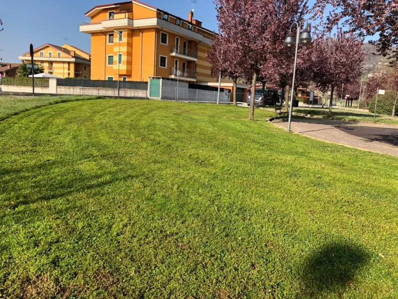 E' in corso la manutenzione di primavera in parchi, giardini e viali comunali