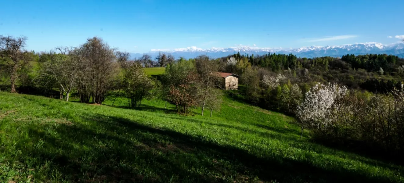 Un'immagine di repertorio della collina buschese