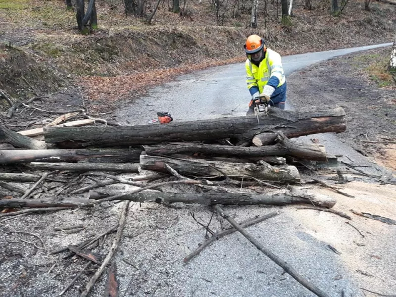 Intervento della Protezione civile comunale sulla Strada di Valmala