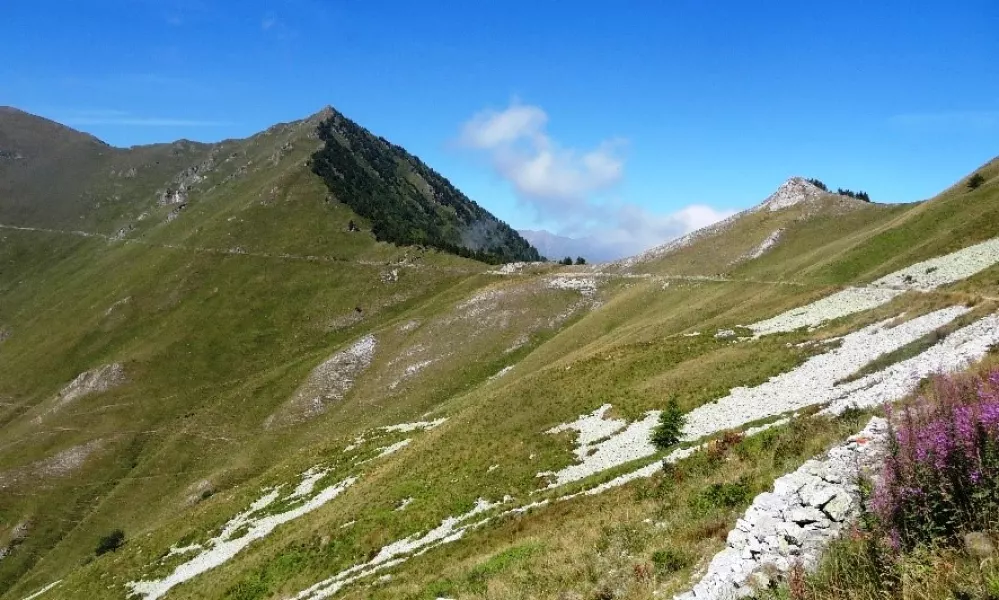 La strada dei Cannoni, splendido itinerario naturalistico lungo 42 chilometri fra le valli Maira e Varaita