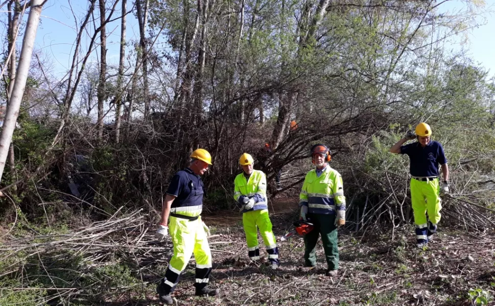 Le  sponde del torrente Varaita a Costigliole liberate dalla sterpaglie dai volontari della Protezione civile 