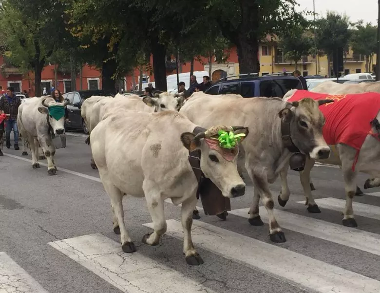 Un'immagine del passaggio dello scorso anno