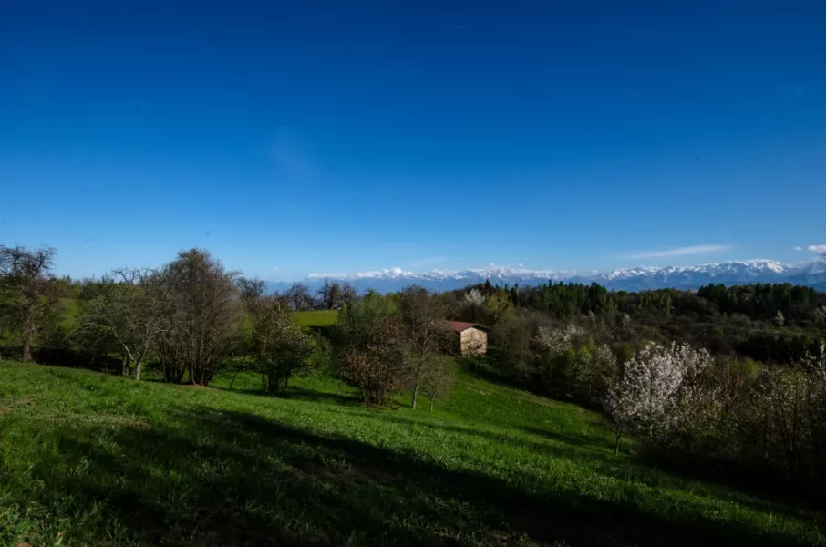 Panorami mozzafiato sui  sentieri dell’antica “Costa olearia”