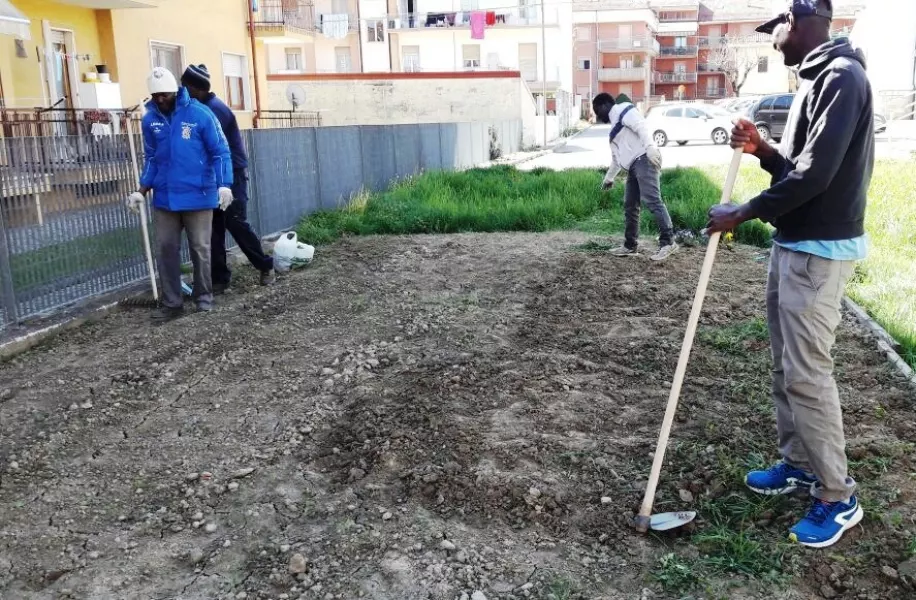 Si prepara il terreno per l'Orto in Condaotta nell'area verde delle scuole medie