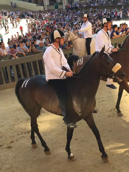 Mattia Chiavassa questa mattina alla Tratta del palio di Siena