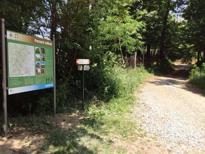 L’affidamento dei tagli del castagneto situato in  un lotto boschivo nella zona  Le Moie serve  per valorizzare una risorsa comunale e per il ripristino di una pista forestale, che è  utile in caso di incendi, per la manutenzione dei boschi e come percorso escursionistico 