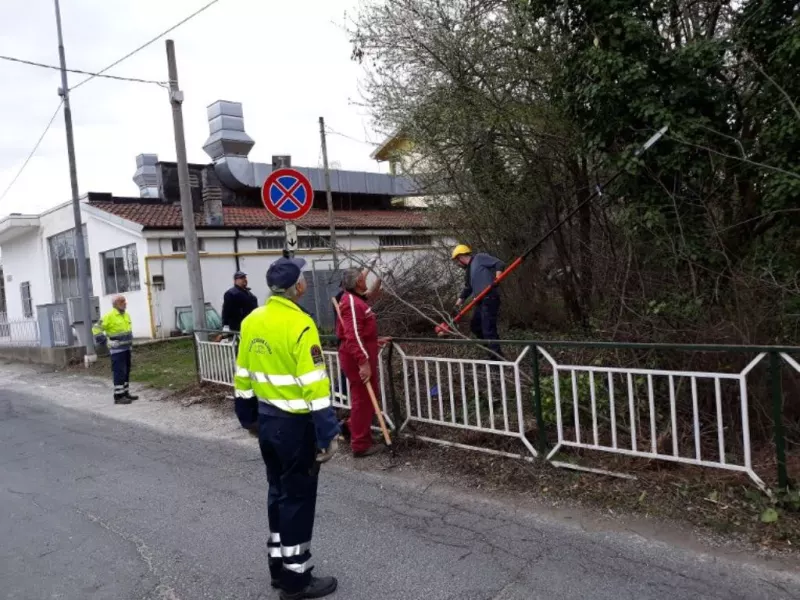 Alberi e arbusti che impedivano la visibilità e il deflusso dell'acqua