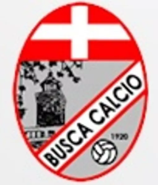 Busca calcio 1920