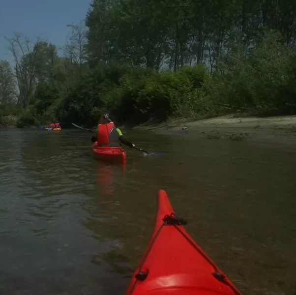 Un corso per imparare la guida del kayak in acque ferme