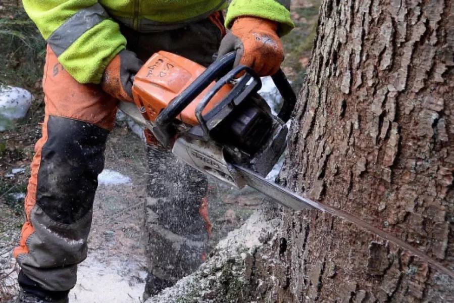 Si svolgeranno Busca da marzo a luglio corsi forestali gratuiti per giovani