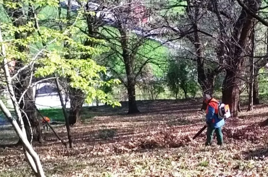 Operai forestali della Regione al lavoro sulla collina di Santo Stefano