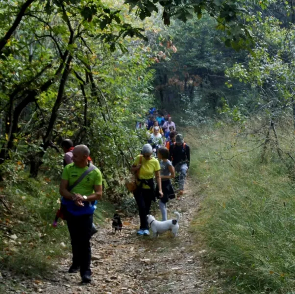 Busca  presente ai tavoli territoriali sulla Carta europea del turismo sostenibile per includere la promozione del geoturismo alle cave di alabastro e sui sentieri collinari