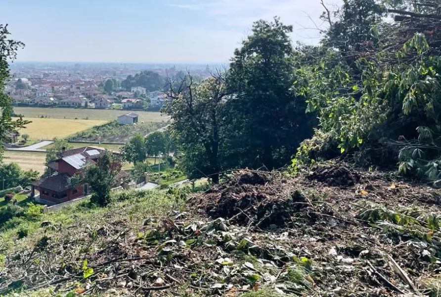 Per mettere in sicurezza la zona, il Comune ha dovuto chiudere l’accesso al parco e provvedere alla pulizia e all’abbattimento degli alberi irrimediabilmente rovinati. A lavori finiti, in settimana l’accesso sarà riaperto