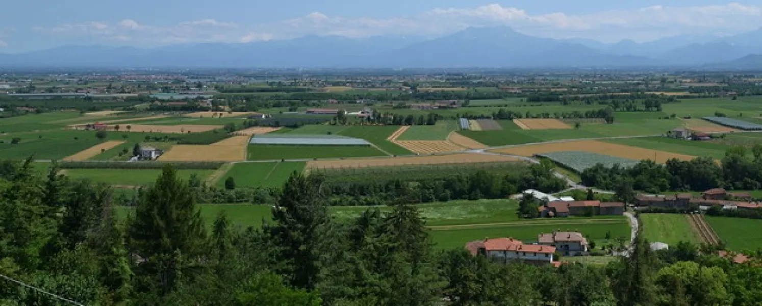 Sono esentati dalla seconda rata Imu i proprietari di terreni agricoli che li coltivano direttamente