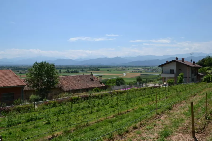 I proprietari dei terreni agricoli che non li coltivano direttamente sono chiamati pagare l'Imu 2013