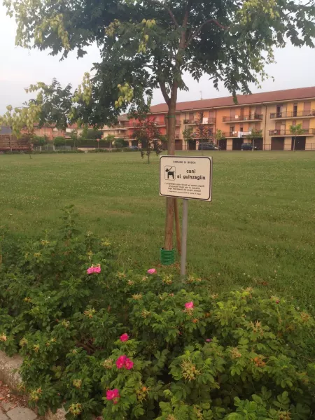 L'area verde di piazza Dante è curata dall'associazione Busca&Verde