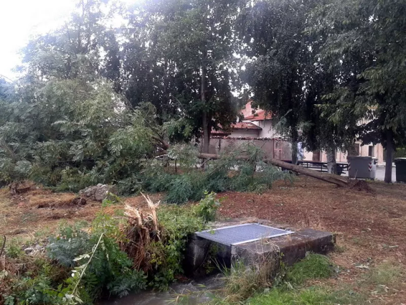 Alberi sradicati in frazione San Giuseppe