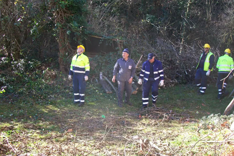 L'accesso alla casa ricevuta in eredità era ingombro di arbusti