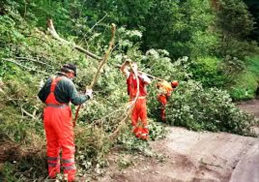 Ordinanza perché i proprietari dei terreni  provvedano direttamente entro il 21 novembre ad eseguire il taglio e lo sgombero della vegetazione che, sporgendo sulle strade, risulti pericolosa