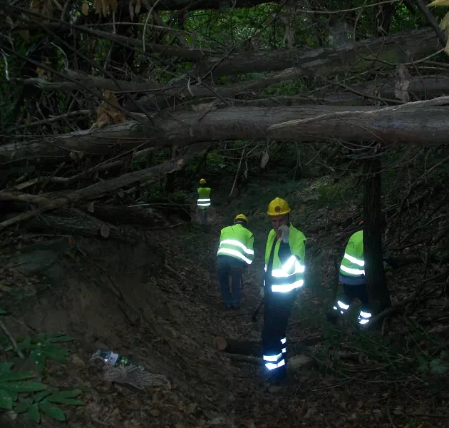 Volontari al lavoro nel bosco 