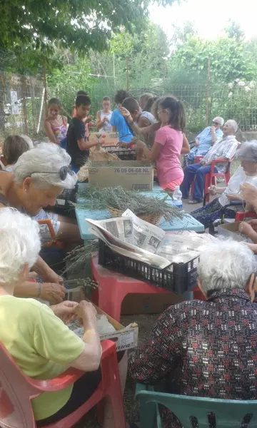 Ragazzi e anziani uniti dal Progetto Demo raccolgo e confezionano la lavanda