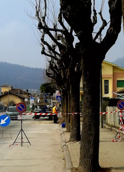 I cittadini in difficoltà economiche tali da non poter pagare le tasse locali possano ricompensare i Comuni prestando lavori utili alla comunità, come la pulizia del verde pubblico