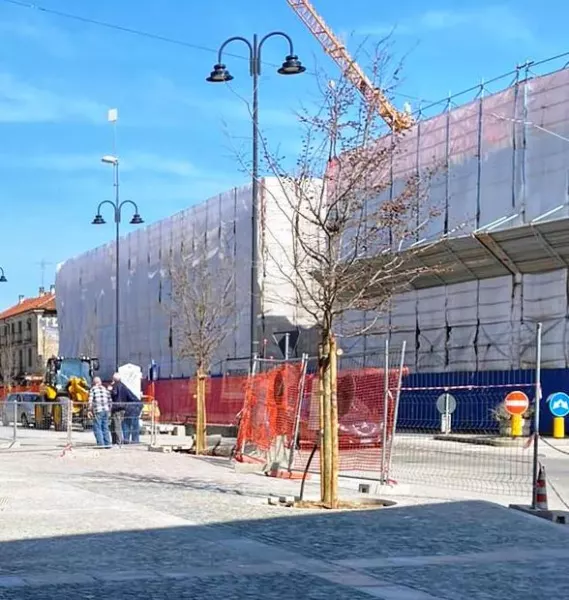 Gli alberi sul lato strada sono sei “malus trilobata”, di media altezza e dalle foglie verde scuro a tre lobi simili a quelle di un acero che si colorano di rosso-porpora in autunno