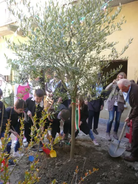 Al lavoro per piantare l'albero che... non c'era