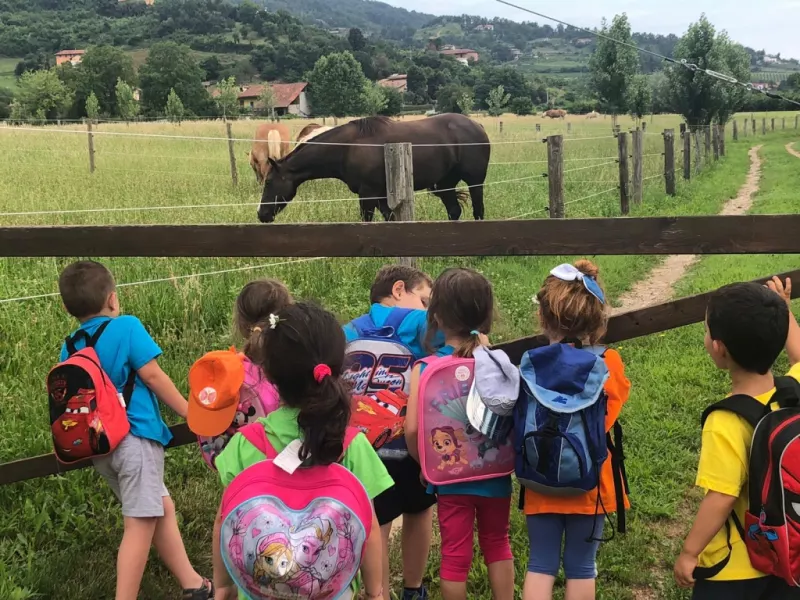 L’estate 2021 per i bambini e i ragazzi buschesi sarà ricca di iniziative grazie a tanti, fra enti e associazioni, che stanno collaborando per una programmazione che prevede un’ampia offerta di servizi integrati