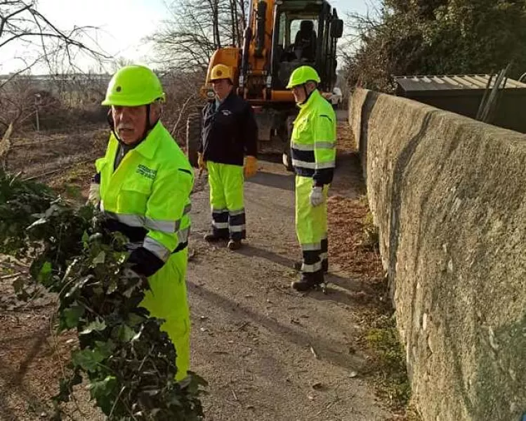 Pulizia  lungo la scarpata della ferrovia in via Risorgimento