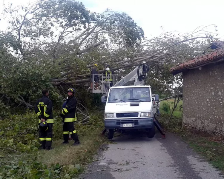 Alberi abbattuti in seguito ad una tromba d'aria nella zona Pignolo