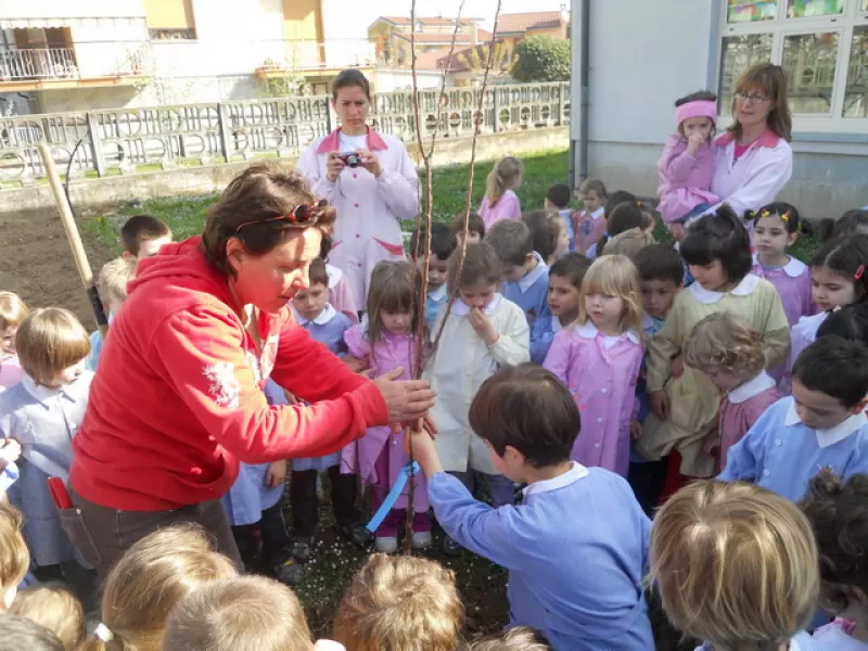 I bambini intenti a piantare un albero da frutta