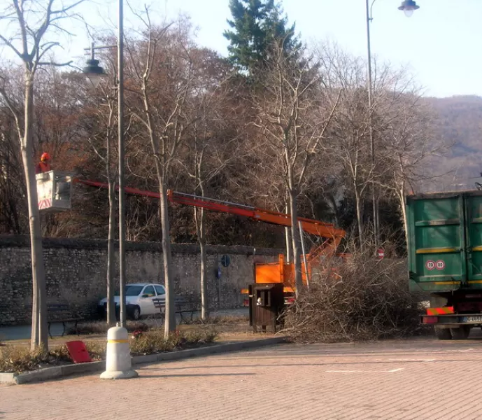 La potatura degli alberi in piazza Fratelli Mariano