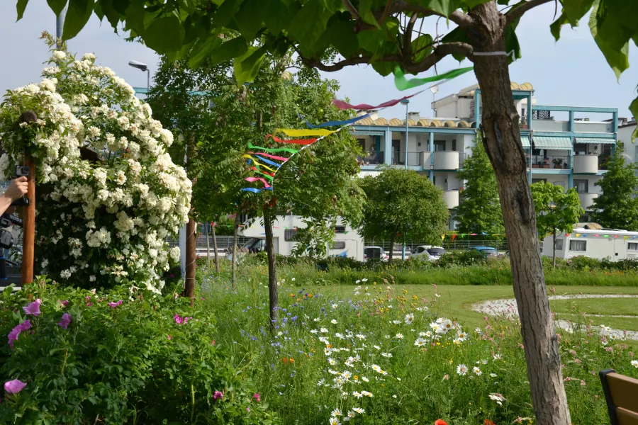 Il Giardino dell'Infinito inagurato da poco è un bellissimo parco, costruito secondo il principio della biodiversità