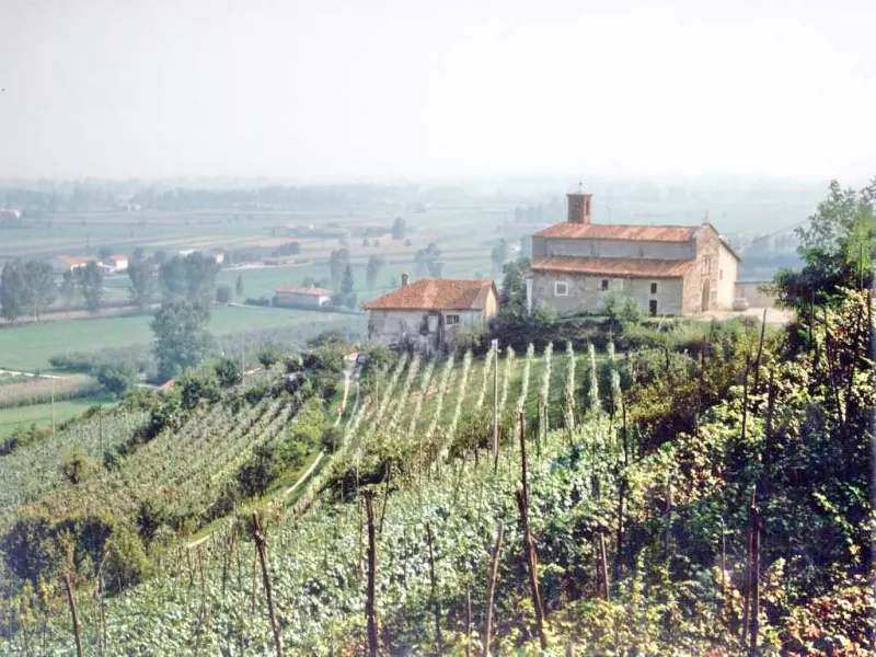 La chiesa romanica di San Martino sulla sua collina coltivata a vigenti