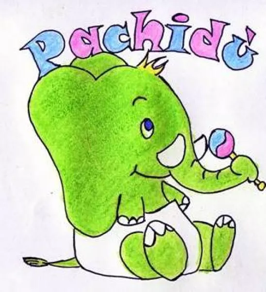 Pachidù è il nome e la mascotte del micronido comunale