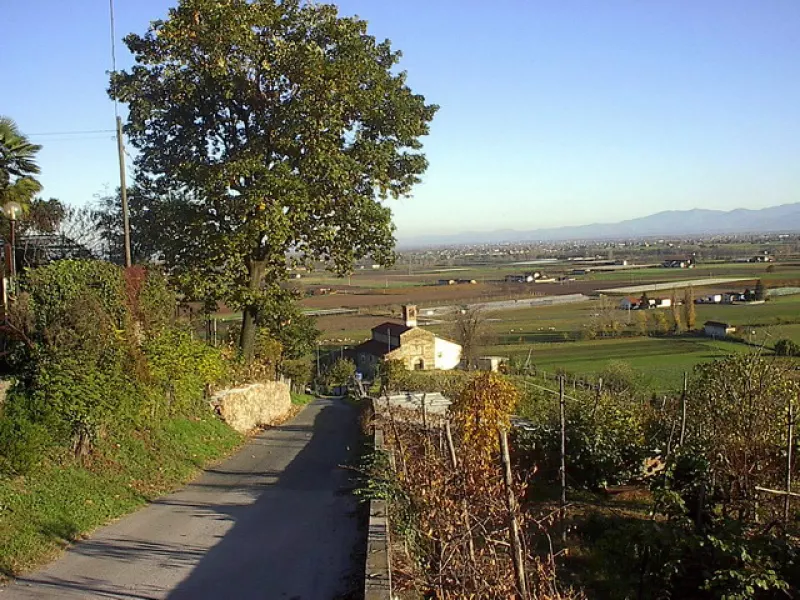 La chiesa romanica di San Martino vista dall'alto della collina