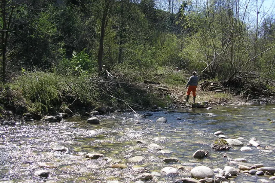 Si ripulisce la sponda del Maira in frazione San Mauro