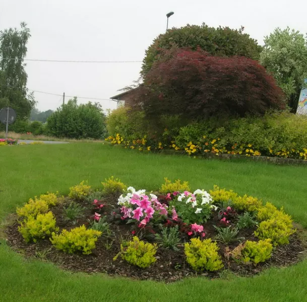 Un'aiuola sulla rotonda di zona Loreto con le pinte di fiori offerte dalla casa circondariale