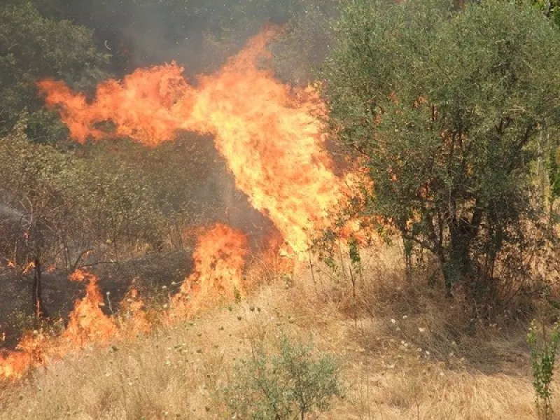 Oggi a domani pericolo incendi livello 5, il massimo, sul territorio della provincia di Cuneo