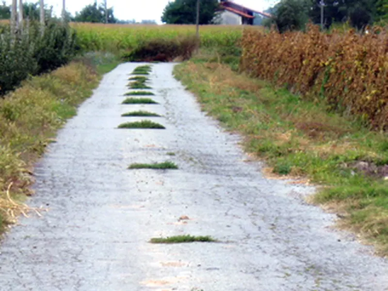 La strada in questione