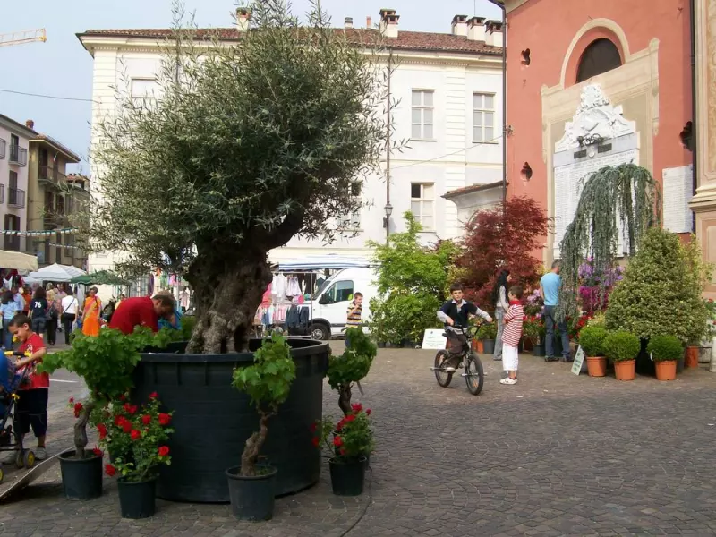 BUSCA EVENTI. Piazza della Rossa per la Festa del Fiore